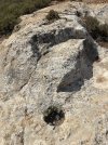 IMG_9078.jpeg