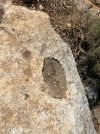 IMG_9079.jpeg