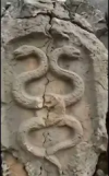 1781948880989.png