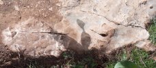 Messenger_creation_7176884229063427887.jpeg