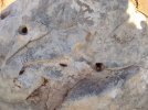 IMG_20261013_132836_829.jpg
