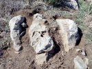 IMG_20261013_132913_607.jpg